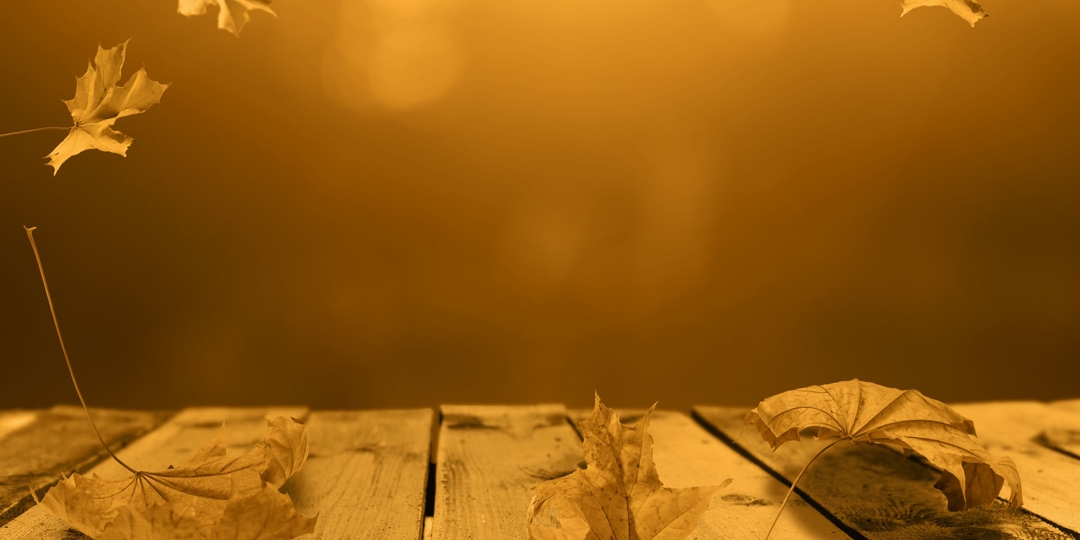 oak leaves on brown background