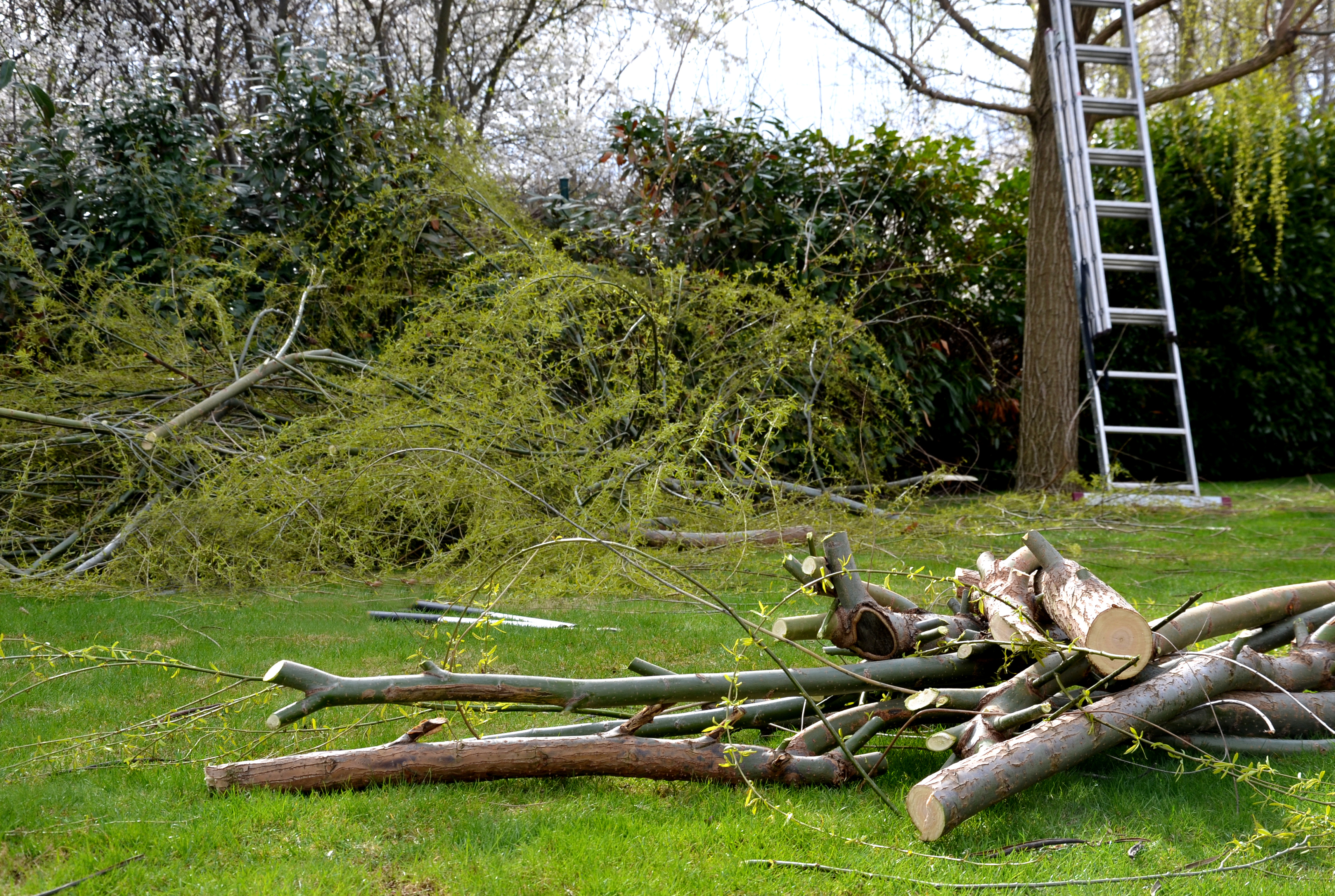 Storm Damage Tree Work: Quick Response for Safety in Northwest Houston